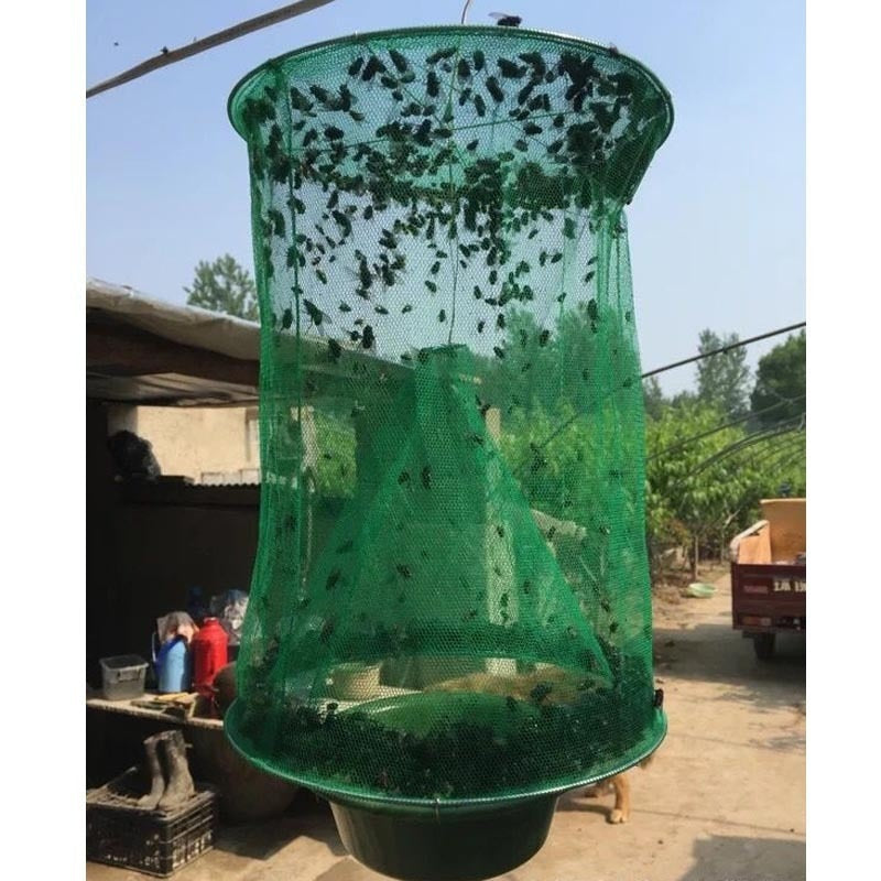 Green Outdoor Fly Trap Cage – Community Street Fly Catcher & Insect Killer