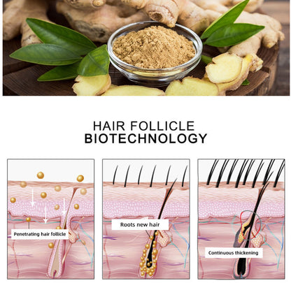 Premium Hair Growth Essential Oil – Nourishing, Strengthening & OEM Custom Formula