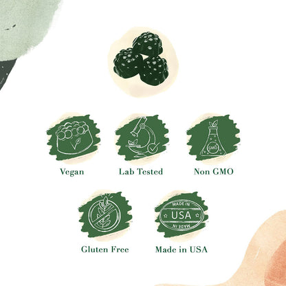 Chlorophyll Soft Candy – Freshness & Wellness in Every Bite