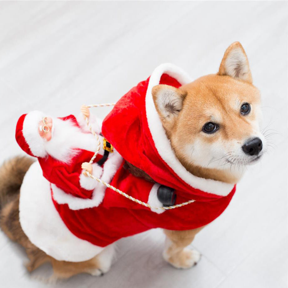 ElfPup Holiday Costume
“Turn your dog into Santa’s cutest helper!”