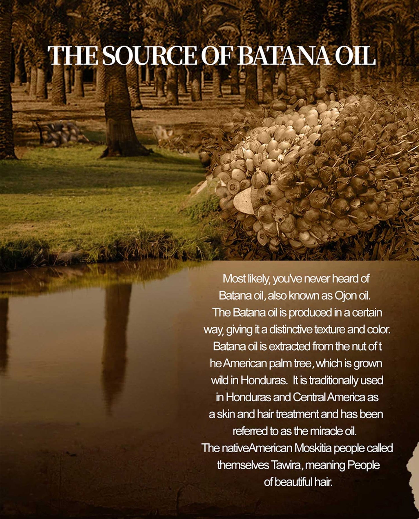 Batana Hair Care Oil – Deep Repair & Growth Nourishing Treatment